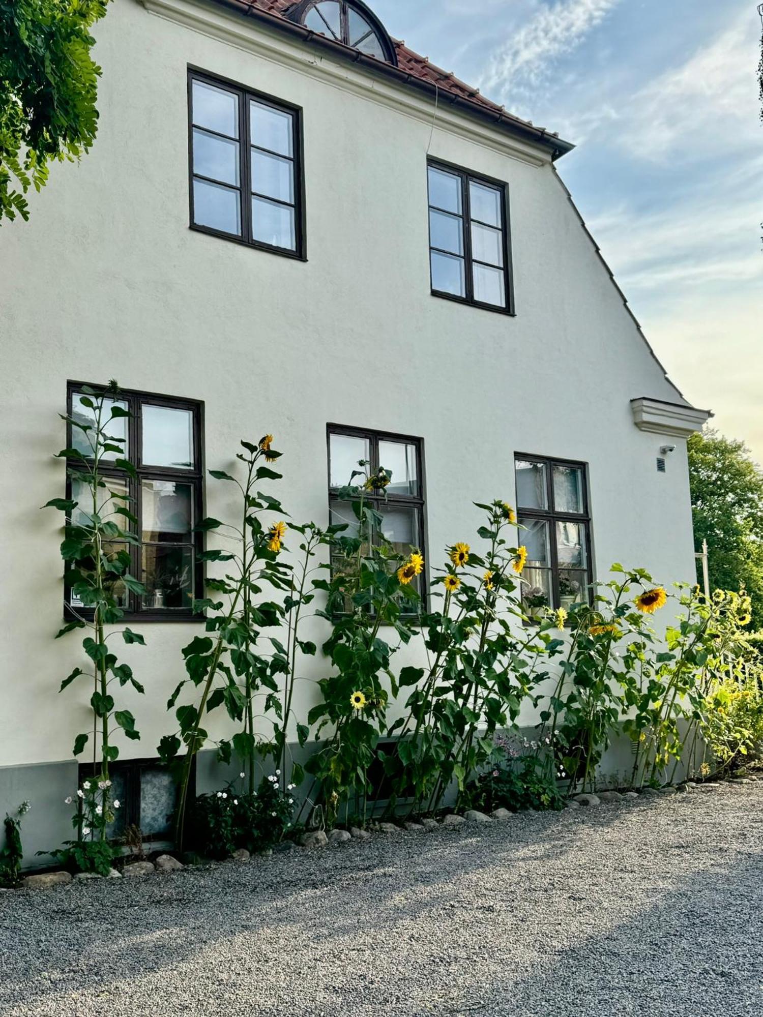 לנדסקרונה Stf Landskrona Hostel מראה חיצוני תמונה